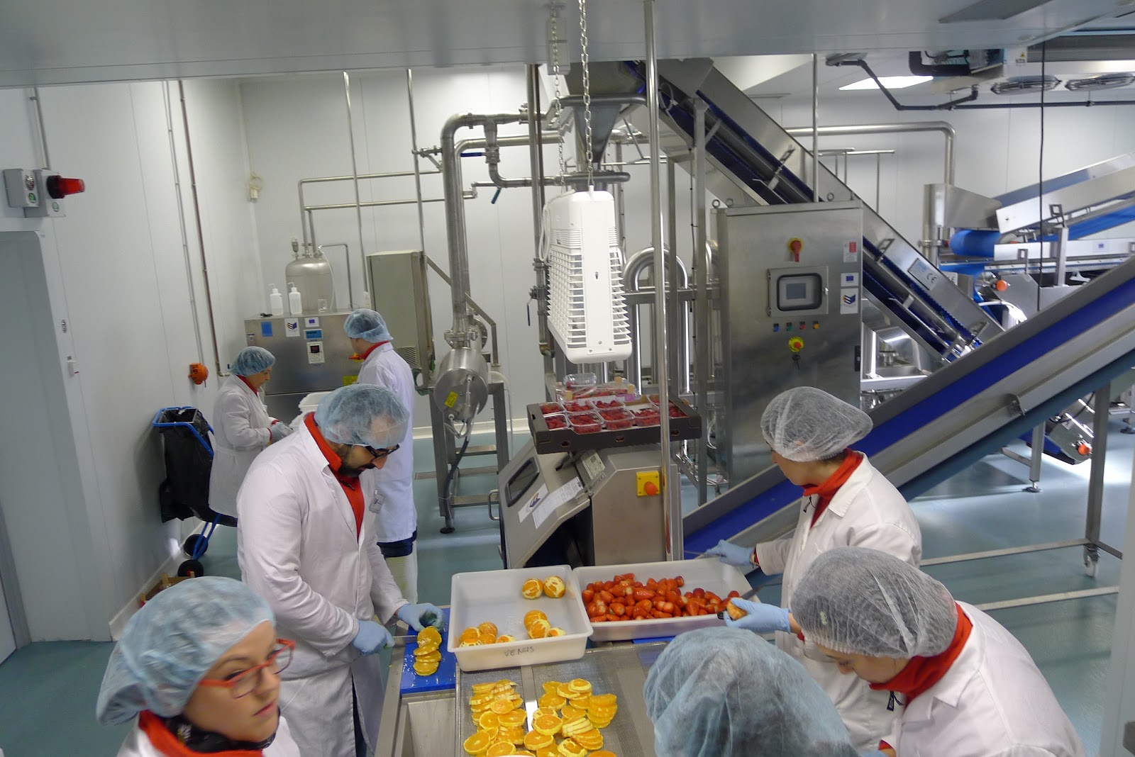 agroalimentario1