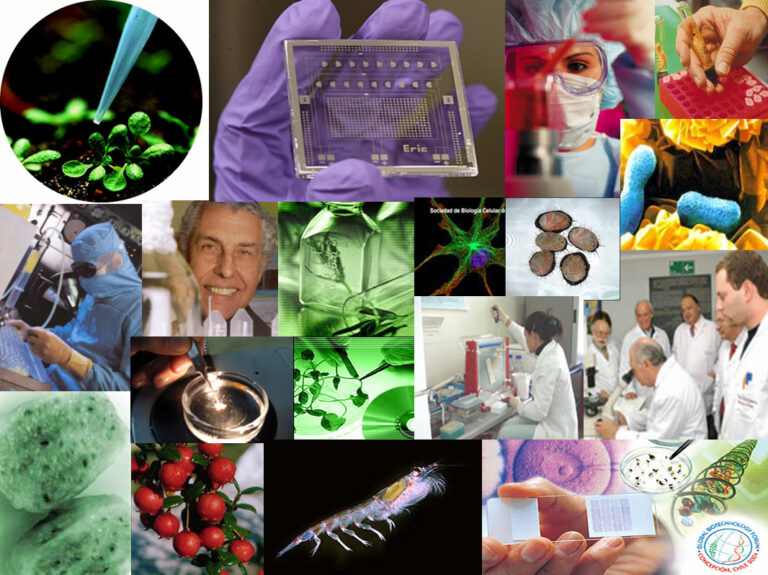 Ref:RDHU20191114001 - Horizon 2020- MSCA-ITN-ETN (Redes europeas de formación). Búsqueda de socios de las industrias farmacéutica y biotecnológica para presentar una propuesta MSCA-ITN-ETN