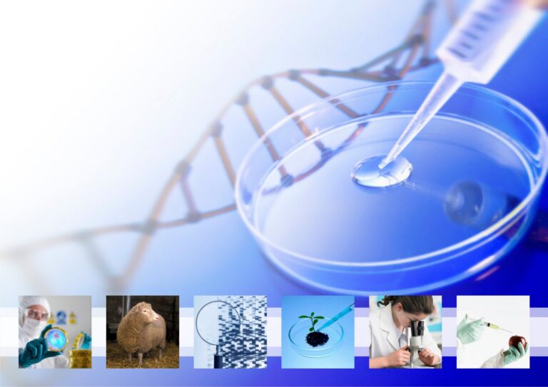 Ref: TRGR20190925001 - Empresa griega especializada en agroinsumos está interesada en desarrollar una línea de producción de microorganismos beneficiosos (bacterias, hongos y enzimas) en el marco de un acuerdo de cooperación técnica