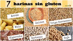 Ref. BOHU20151116001 Empresa especializada en productos sin gluten y aceite de maíz prensado en frío busca agentes y distribuidores