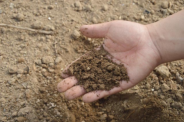 Ref. BRCN20170614001 Empresa china busca productores de fertilizantes orgánicos, artificiales y de liberación controlada