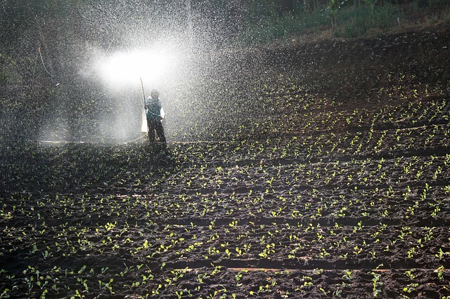 Ref. BRPL20180504001. Mayorista polaco de productos agrícolas (fertilizantes y productos agroquímicos) ofrece servicios de distribución de nuevos productos