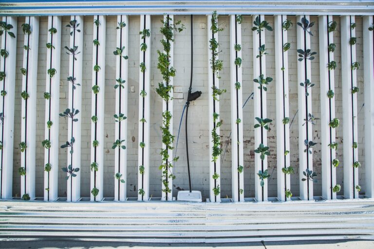Ref. BRUK20180323001 Empresa británica ofrece servicios de distribución y comercialización de materiales ecológicos, verdes, sostenibles y energéticamente eficientes para la industria de la construcción