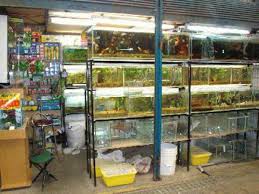 Ref. BRNL20180420001 Empresa holandesa busca proveedores de productos para acuarios