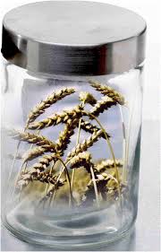 Ref. BRDE20190409002 Empresa alemana especializada en nutrición animal busca un proveedor de soluciones de envasado