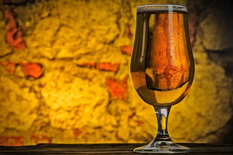 Ref. BOBE20190906001 Productor belga de cerveza artesanal ecológica busca distribuidores e importadores