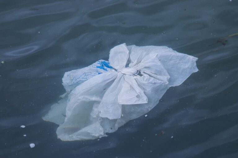 Ref: RDUK20191108001 - H2020. Acción piloto para la eliminación de plásticos y basura. Búsqueda de experiencia en varias áreas