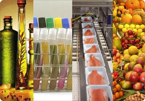 Ref: TRDE20170901001 - Nuevos métodos de medida rápidos y asequibles para análisis de alimentos