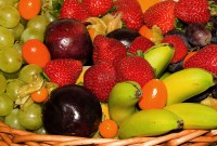 Ref. 20111124017 BO Fruta Fresca