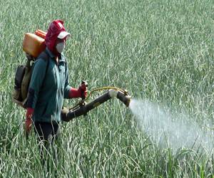 Ref. BRPL20151017001 Empresa polaca se ofrece como distribuidor a fabricantes de piensos, fertilizantes y productos agroquímicos