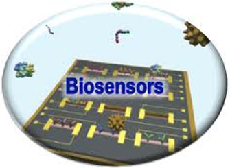 Biosensores