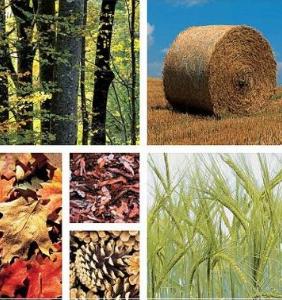 Ref. BRBG20150617001 Empresa búlgara dedicada a la venta de productos veterinarios y biocidas se ofrece como distribuidor