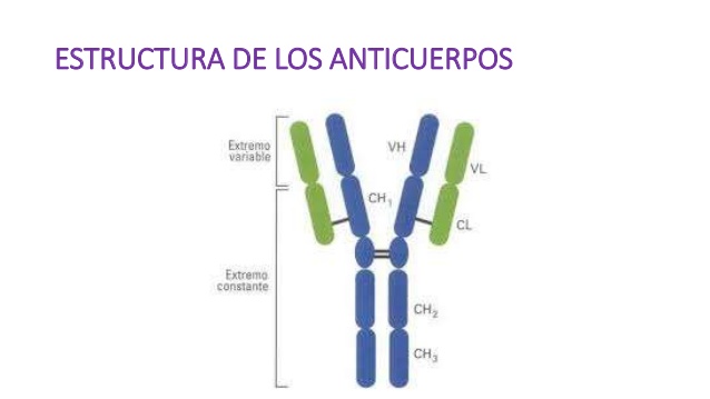 Ref. BOKR20160517001 Fabricante coreano de un kit de diagnóstico de leptospirosis busca distribuidores