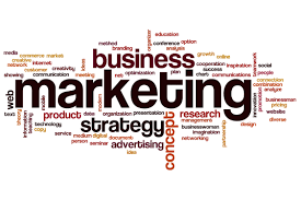 Ref. BORS20160815002 Compañía serbia especializada en consultoría empresarial y marketing en internet ofrece sus servicios a empresas extranjeras interesadas en el mercado serbio