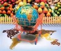 Ref. BRBE20170627001 Empresa belga con una plataforma de venta online busca productos de consumo para distribución