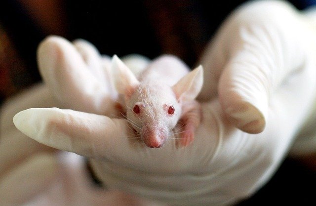 Ref: RDTR20201207001 - PYME turca financiada con el Instrumento PYME fase I está buscando una empresa de biotecnología y un grupo de investigación universitario para la solicitud conjunta de subvenciones Eurostars