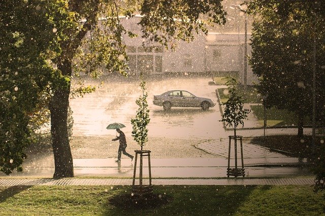 Ref: TODE20210218001 - PYME alemana ofrece portal de precipitaciones que permite medidas proactivas en ciudades inteligentes