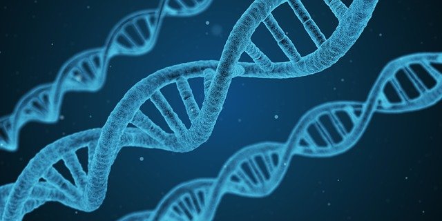 Ref. TRIT20210513001 Centro clínico italiano busca colaboración técnica y/o investigadora para la detección de marcadores genéticos y biológicos de enfermedades neurológicas