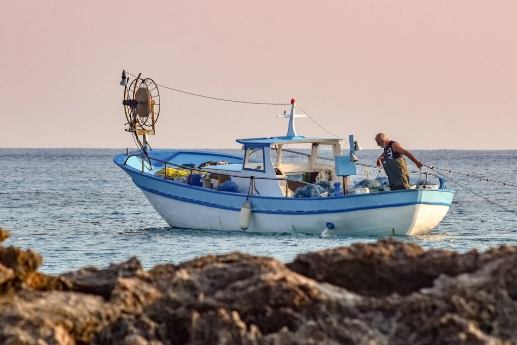 Ref. BODK20210623001 Empresa danesa ofrece pescado fresco y congelado y busca distribuidores europeos