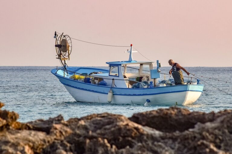 Ref. BODK20210623001 Empresa danesa ofrece pescado fresco y congelado y busca distribuidores europeos
