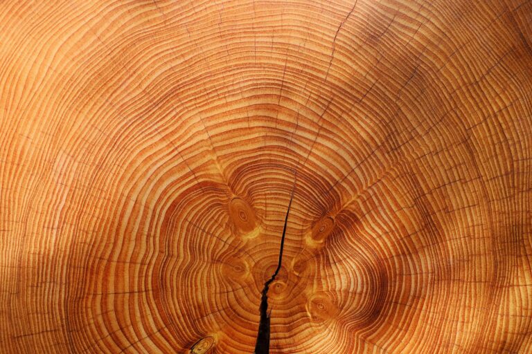Ref. BOBY20210614001 Fabricante bielorruso de accesorios y mobiliario de madera natural busca socios para acceder a nuevos mercados en el marco de un acuerdo de distribución o de subcontratación