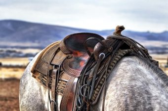 Ref. BRFR20210722001 PYME francesa está buscando fabricantes europeos para desarrollar una tela para silla de montar a caballo.