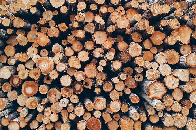 Ref. TRAT20211217001 Empresa forestal austriaca busca una solución automática, rápida y estandarizada para comprobar la calidad de la madera de troncos pequeños